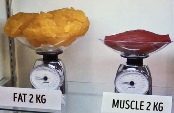 Why are some people heavier than they look? Is it really having more lean muscle mass?